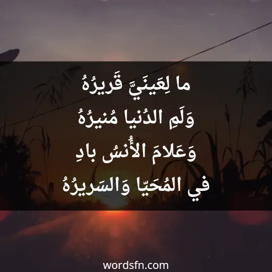 Poems of Hassan Kamel Al-Sayrafi 2 - فن العبارات ما لِعَينَيَّ قَريرُهُ وَلَمِ الدُنيا مُنيرُهُ وَعَلامَ الأُنسُ بادِ في المُحَيّا وَالسَريرُهُ