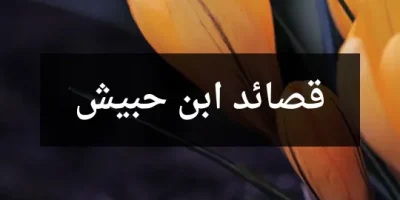 قصائد ابن حبيش