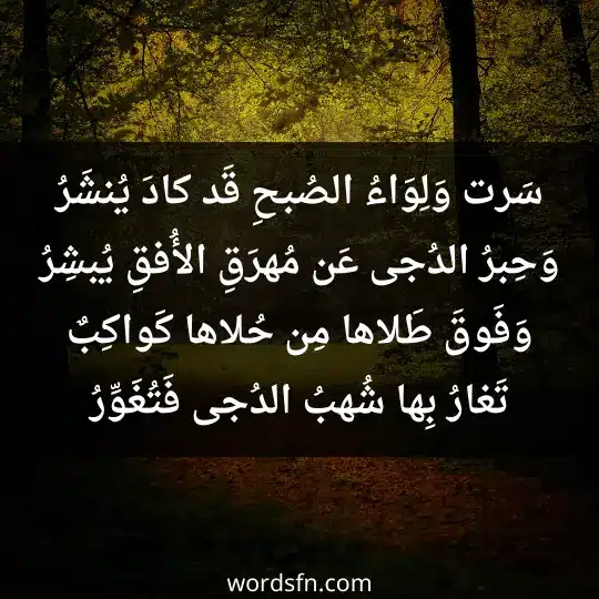 سَرت وَلِوَاءُ الصُبحِ قَد كادَ يُنشَرُ وَحِبرُ الدُجى عَن مُهرَقِ الأُفقِ يُبشِرُ وَفَوقَ طَلاها مِن حُلاها كَواكِبٌ تَغارُ بِها شُهبُ الدُجى فَتُغَوِّرُ