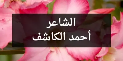 الشاعر أحمد الكاشف