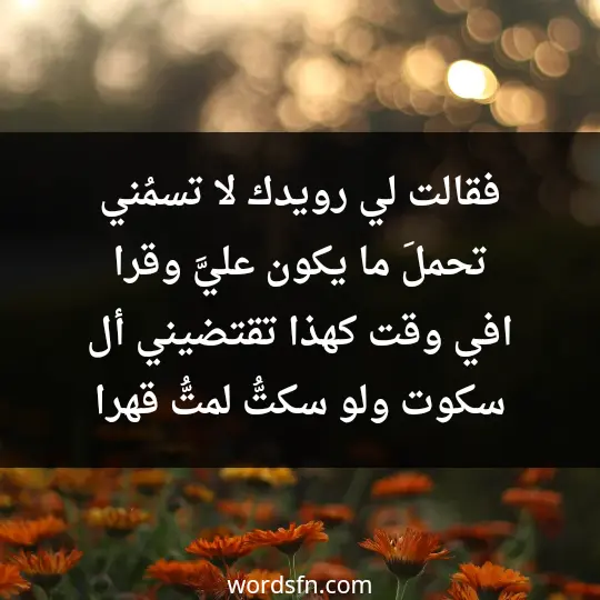 فقالت لي رويدك لا تسمُني تحملَ ما يكون عليَّ وقرا افي وقت كهذا تقتضيني أل سكوت ولو سكتُّ لمتُّ قهرا - فن العبارات فقالت لي رويدك لا تسمُني تحملَ ما يكون عليَّ وقرا افي وقت كهذا تقتضيني أل سكوت ولو سكتُّ لمتُّ قهرا