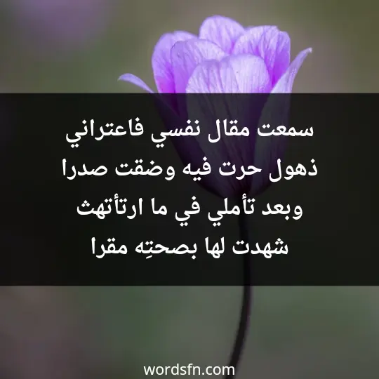 سمعت مقال نفسي فاعتراني ذهول حرت فيه وضقت صدرا وبعد تأملي في ما ارتأتهث شهدت لها بصحتِه مقرا - فن العبارات سمعت مقال نفسي فاعتراني ذهول حرت فيه وضقت صدرا وبعد تأملي في ما ارتأتهث شهدت لها بصحتِه مقرا