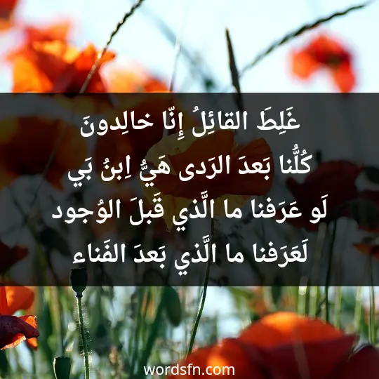 غَلِطَ القائِلُ إِنّا خالِدونَ كُلُّنا بَعدَ الرَدى هَيُّ اِبنُ بَي لَو عَرَفنا ما الَّذي قَبلَ الوُجود لَعَرَفنا ما الَّذي بَعدَ الفَناء