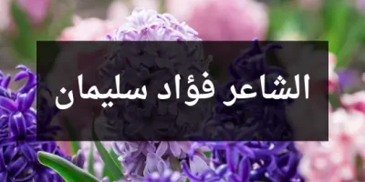 الشاعر فؤاد سليمان