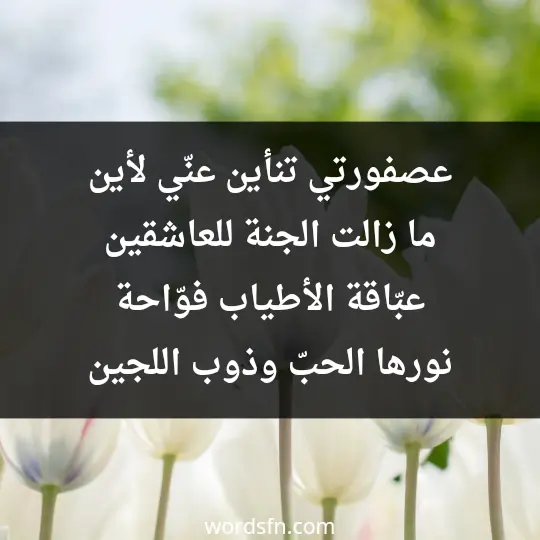 عصفورتي تنأين عنّي لأين ما زالت الجنة للعاشقين عبّاقة الأطياب فوّاحة نورها الحبّ وذوب اللجين