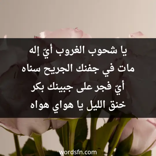 يا شحوب الغروب أيّ إله مات في جفنك الجريح سناه أيّ فجر على جبينك بكر خنق الليل يا هواي هواه