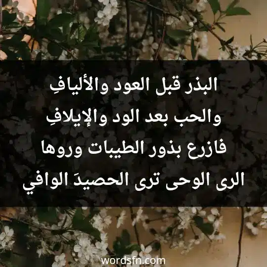 البذر قبل العود والأليافِ والحب بعد الود والإيلافِ فازرع بذور الطيبات وروها الرى الوحى ترى الحصيدَ الوافي