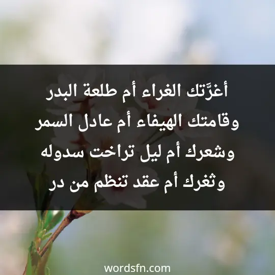 Poet Ismail Sabry1 - فن العبارات أغرَّتك الغراء أم طلعة البدر وقامتك الهيفاء أم عادل السمر وشعرك أم ليل تراخت سدوله وثغرك أم عقد تنظم من در