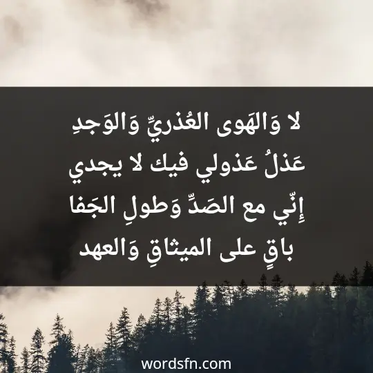 Poet Ismail Sabry2 - فن العبارات لا وَالهَوى العُذريِّ وَالوَجدِ عَذلُ عَذولي فيك لا يجدي إِنّي مع الصَدِّ وَطولِ الجَفا باقٍ على الميثاقِ وَالعهد