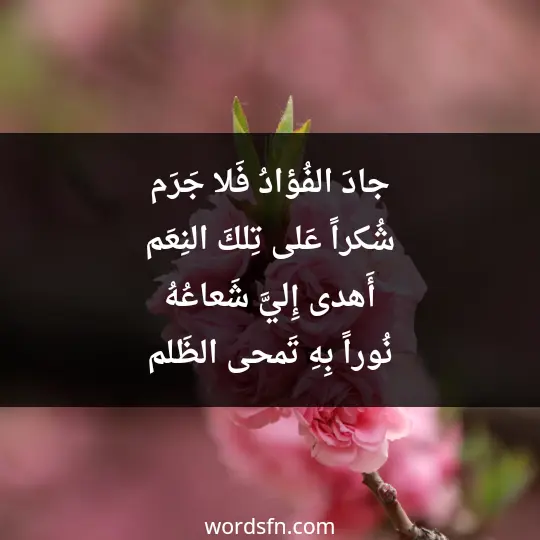 جادَ الفُؤادُ فَلا جَرَم شُكراً عَلى تِلكَ النِعَم أَهدى إِليَّ شَعاعُهُ نُوراً بِهِ تَمحى الظَلم - فن العبارات جادَ الفُؤادُ فَلا جَرَم شُكراً عَلى تِلكَ النِعَم أَهدى إِليَّ شَعاعُهُ نُوراً بِهِ تَمحى الظَلم