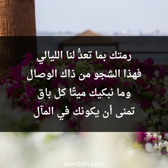 رمتك بما تعدُّ لنا الليالي فهذا الشجو من ذاك الوصال وما نبكيك ميتًا، كل باق تمنى أن يكونك في المآل