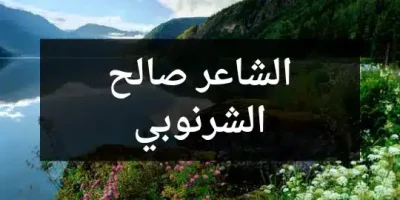 الشاعر صالح الشرنوبي