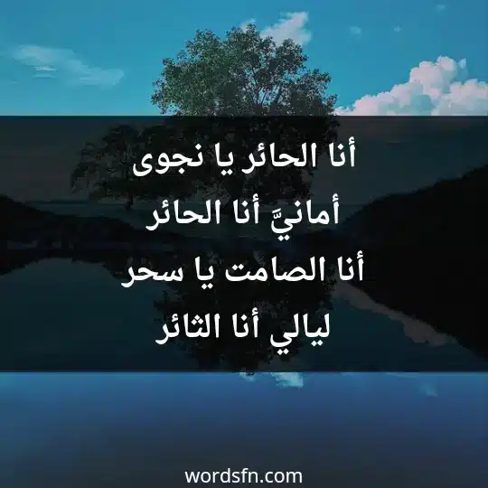 أنا الحائر يا نجوى أمانيَّ أنا الحائر أنا الصامت يا سحر ليالي أنا الثائر