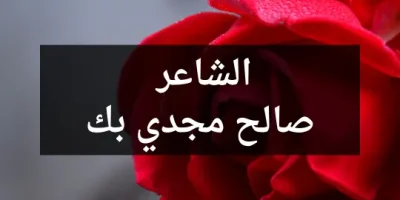 الشاعر صالح مجدي بك
