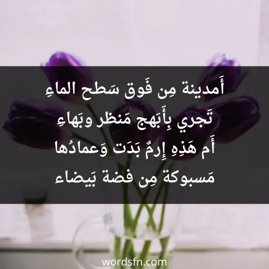 أَمدينة مِن فَوق سَطح الماءِ تَجري بِأَبَهج مَنظر وبَهاءِ أَم هَذِهِ إِرمٌ بَدَت وَعمادُها مَسبوكة مِن فضة بَيضاء
