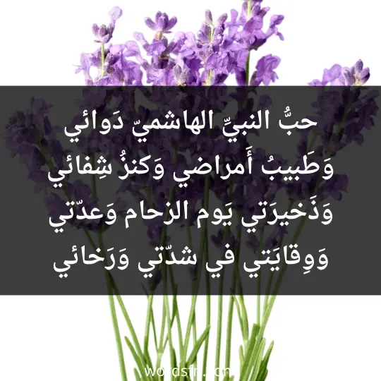 حبُّ النبيِّ الهاشميّ دَوائي وَطَبيبُ أَمراضي وَكنزُ شِفائي وَذَخيرَتي يَوم الزحام وَعدّتي وَوِقايَتي في شدّتي وَرَخائي