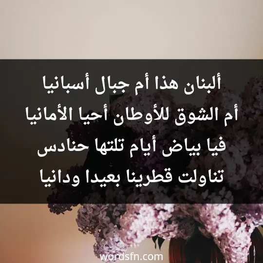 ألبنان هذا أم جبال أسبانيا أم الشوق للأوطان أحيا الأمانيا فيا بياض أيام تلتها حنادس تناولت قطرينا بعيدا ودانيا