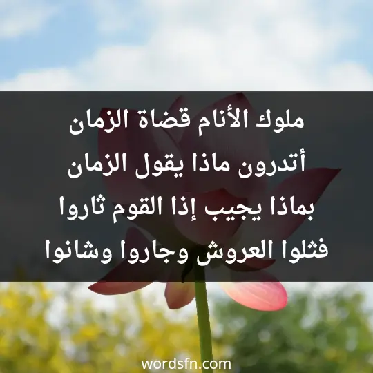 ملوك الأنام قضاة الزمان أتدرون ماذا يقول الزمان بماذا يجيب إذا القوم ثاروا فثلوا العروش وجاروا وشانوا