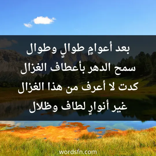 بعد أعوامٍ طوالٍ وطوال سمح الدهر بأعطاف الغزال كدت لا أعرف من هذا الغزال غير أنوارٍ لطاف وظلال