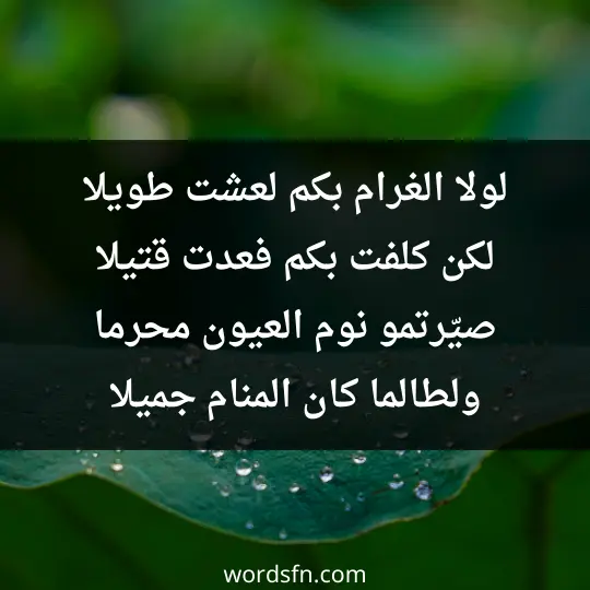 لولا الغرام بكم لعشت طويلا لكن كلفت بكم فعدت قتيلا صيّرتمو نوم العيون محرما ولطالما كان المنام جميلا