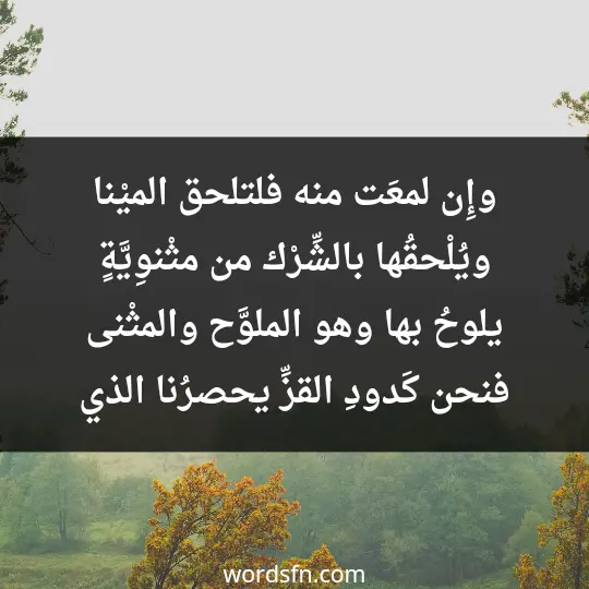 وإِن لمعَت منه فلتلحق الميْنا ويُلْحقُها بالشِّرْك من مثْنوِيَّةٍ يلوحُ بها وهو الملوَّح والمثْنى فنحن كَدودِ القزِّ يحصرُنا الذي