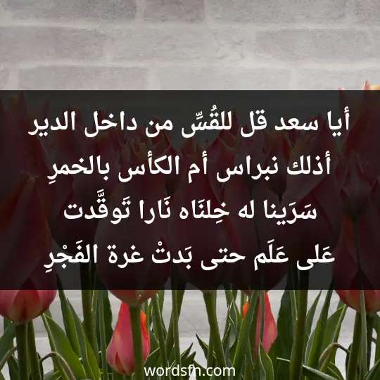 أيا سعد قل للقُسِّ من داخل الدير أذلك نبراس أم الكأس بالخمرِ سَرَينا له خِلنَاه نَارا تَوقَّدت عَلى عَلَم حتى بَدتْ غرة الفَجْرِ
