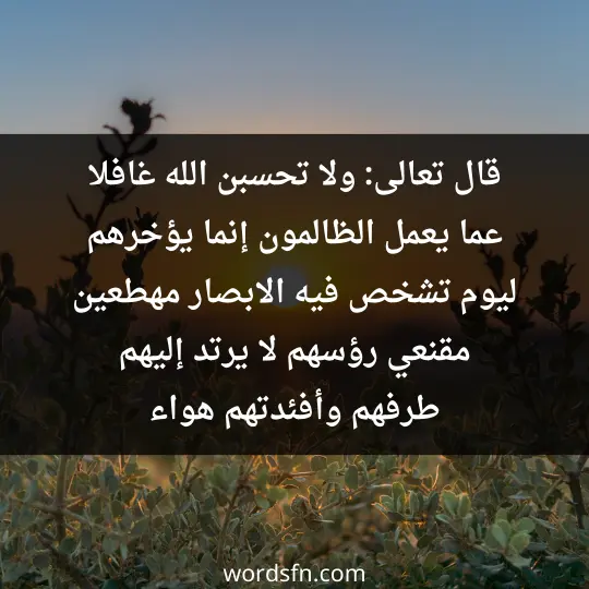 قال تعالى (ولا تحسبن الله غافلا عما يعمل الظالمون إنما يؤخرهم ليوم تشخص فيه الابصار ،مهطعين مقنعي رؤسهم لا يرتد إليهم طرفهم وأفئدتهم هواء - فن العبارات قال تعالى (ولا تحسبن الله غافلا عما يعمل الظالمون إنما يؤخرهم ليوم تشخص فيه الابصار ،مهطعين مقنعي رؤسهم لا يرتد إليهم طرفهم وأفئدتهم هواء