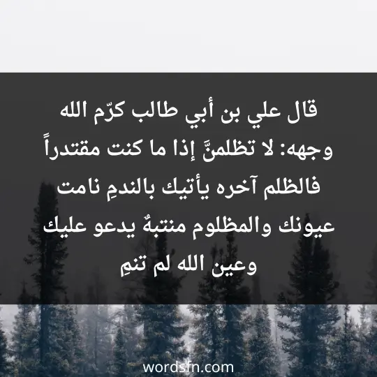 قال علي بن أبي طالب كرّم الله وجهه: لا تظلمنَّ إذا ما كنت مقتدراً فالظلم آخره يأتيك بالندمِ نامت عيونك والمظلوم منتبهٌ يدعو عليك وعين الله لم تنمِ - فن العبارات قال علي بن أبي طالب كرّم الله وجهه: لا تظلمنَّ إذا ما كنت مقتدراً فالظلم آخره يأتيك بالندمِ نامت عيونك والمظلوم منتبهٌ يدعو عليك وعين الله لم تنمِ