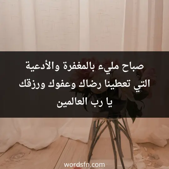 صباح مليء بالمغفرة، والأدعية التي تعطينا رضاك وعفوك ورزقك يا رب العالمين