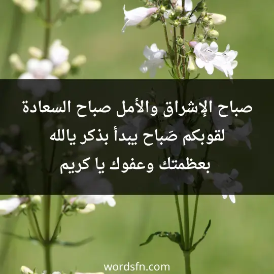 صباح الإشراق والأمل، صباح السعادة لقوبكم. صَباح يبدأ بذكر يالله، بعظمتك وعفوك يا كريم