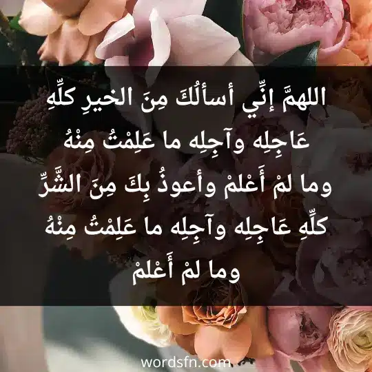 اللهمَّ إنِّي أسألُكَ مِنَ الخيرِ كلِّهِ عَاجِلِه وآجِلِه ما عَلِمْتُ مِنْهُ وما لمْ أَعْلمْ، وأعوذُ بِكَ مِنَ الشَّرِّ كلِّهِ عَاجِلِه وآجِلِه ما عَلِمْتُ مِنْهُ وما لمْ أَعْلمْ