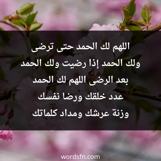 اللهم لك الحمد حتى ترضى، ولك الحمد إذا رضيت، ولك الحمد بعد الرضى، اللهم لك الحمد عدد خلقك، ورضا نفسك، وزنة عرشك، ومداد كلماتك