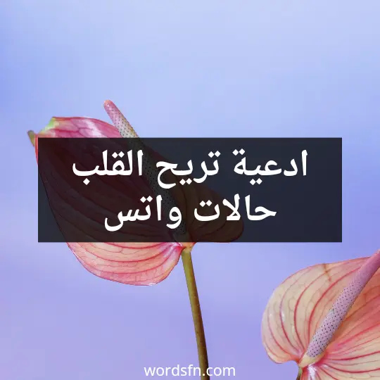 ادعية تريح القلب حالات واتس