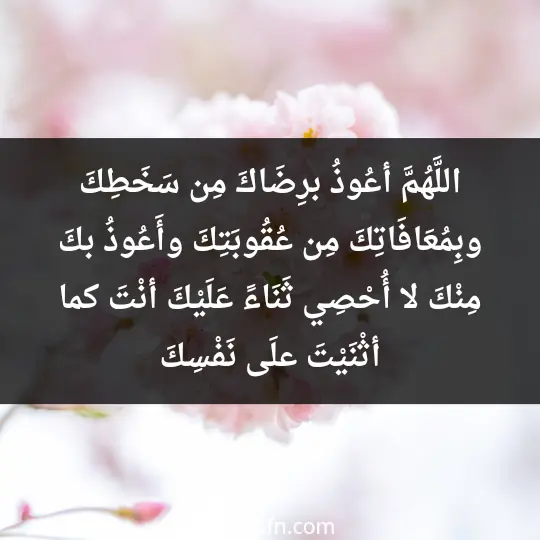 اللَّهُمَّ أعُوذُ برِضَاكَ مِن سَخَطِكَ، وبِمُعَافَاتِكَ مِن عُقُوبَتِكَ، وأَعُوذُ بكَ مِنْكَ لا أُحْصِي ثَنَاءً عَلَيْكَ أنْتَ كما أثْنَيْتَ علَى نَفْسِكَ
