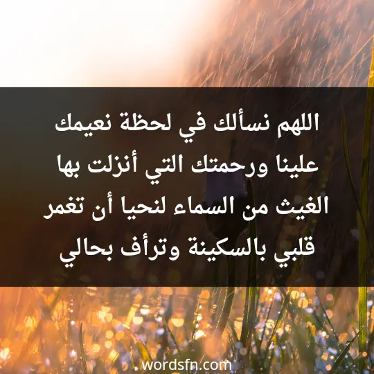 اللهم نسألك في لحظة نعيمك علينا ورحمتك التي أنزلت بها الغيث من السماء لنحيا أن تغمر قلبي بالسكينة وترأف بحالي