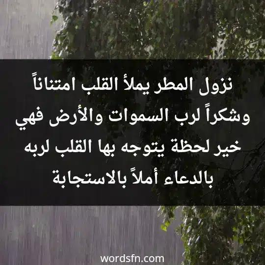 نزول المطر يملأ القلب امتناناً وشكراً لرب السموات والأرض فهي خير لحظة يتوجه بها القلب لربه بالدعاء أملاً بالاستجابة