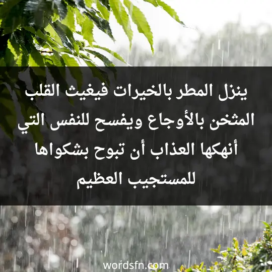 ينزل المطر بالخيرات فيغيث القلب المثخن بالأوجاع ويفسح للنفس التي أنهكها العذاب أن تبوح بشكواها للمستجيب العظيم