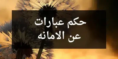حكم عبارات عن الامانه