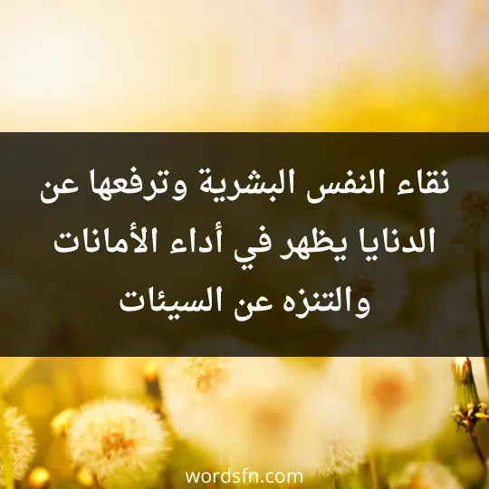 نقاء النفس البشرية وترفعها عن الدنايا يظهر في أداء الأمانات والتنزه عن السيئات