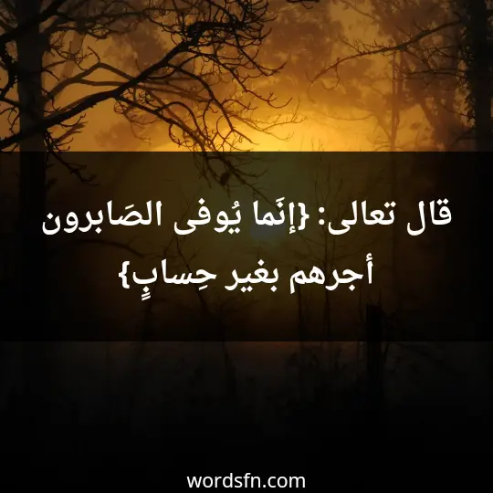 Religious statuses about patience2 - فن العبارات قال تعالى: {إنَما يُوفى الصَابرون أجرهم بغير حِسابٍ}