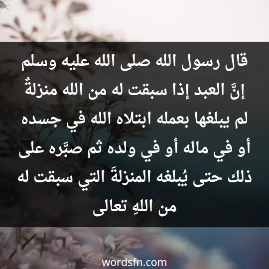 Religious statuses about patience3 - فن العبارات قال رسول الله صلى الله عليه وسلم (إنَّ العبد إذا سبقت له من الله منزلةٌ لم يبلغها بعمله ابتلاه الله في جسده أو في ماله أو في ولده ثم صبَّره على ذلك حتى يُبلغه المنزلةَ التي سبقت له من اللهِ تعالى