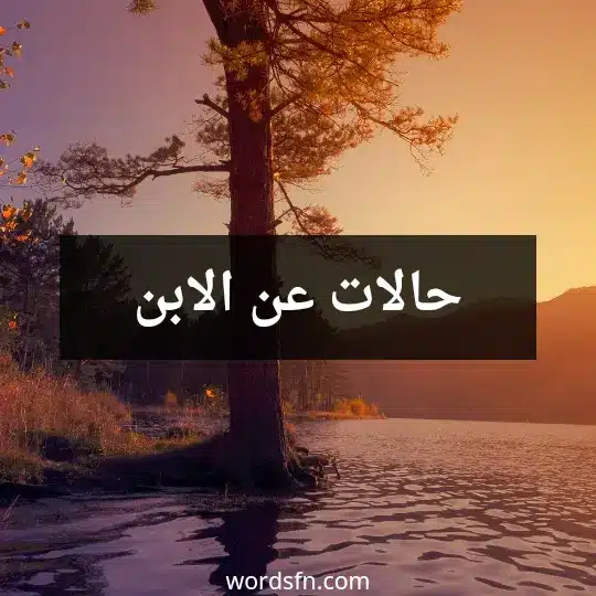 حالات عن الابن