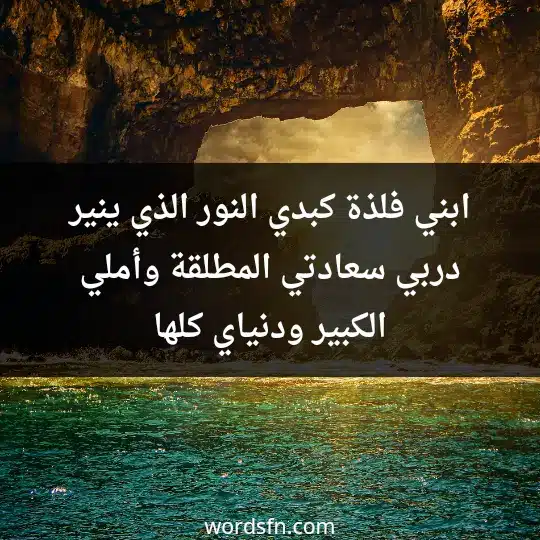 ابني فلذة كبدي، النور الذي ينير دربي، سعادتي المطلقة، وأملي الكبير، ودنياي كلها