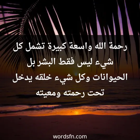 رحمة الله واسعة، كبيرة تشمل كل شيء، ليس فقط البشر، بل الحيوانات وكل شيء خلقه يدخل تحت رحمته ومعيته