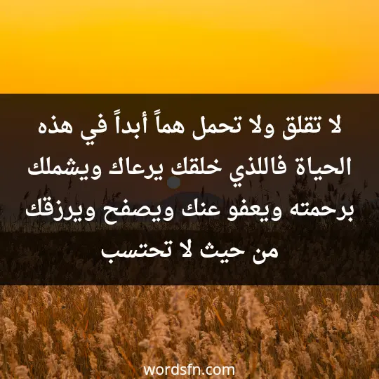 لا تقلق، ولا تحمل هماً أبداً في هذه الحياة، فاللذي خلقك يرعاك، ويشملك برحمته ويعفو عنك ويصفح، ويرزقك من حيث لا تحتسب