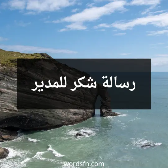 رسالة شكر للمدير