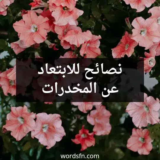 نصائح للابتعاد عن المخدرات