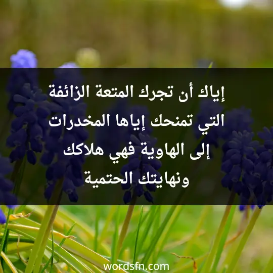 Tips to stay away from drugs2 - فن العبارات إياك أن تجرك المتعة الزائفة التي تمنحك إياها المخدرات إلى الهاوية فهي هلاكك ونهايتك الحتمية