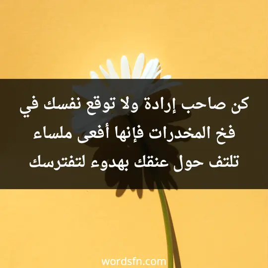 Tips to stay away from drugs3 - فن العبارات كن صاحب إرادة ولا توقع نفسك في فخ المخدرات فإنها أفعى ملساء تلتف حول عنقك بهدوء لتفترسك