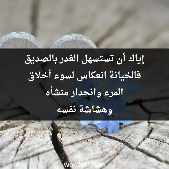 إياك أن تستسهل الغدر بالصديق فالخيانة انعكاس لسوء أخلاق المرء وانحدار منشأه وهشاشة نفسه